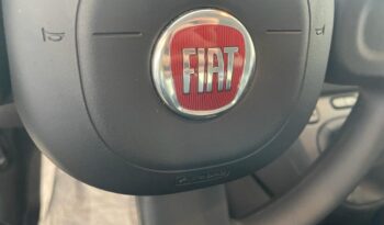 FIAT Panda 1.0 Firefly Hybrid 69cv Easy 5 porte ’23 2.600km pieno